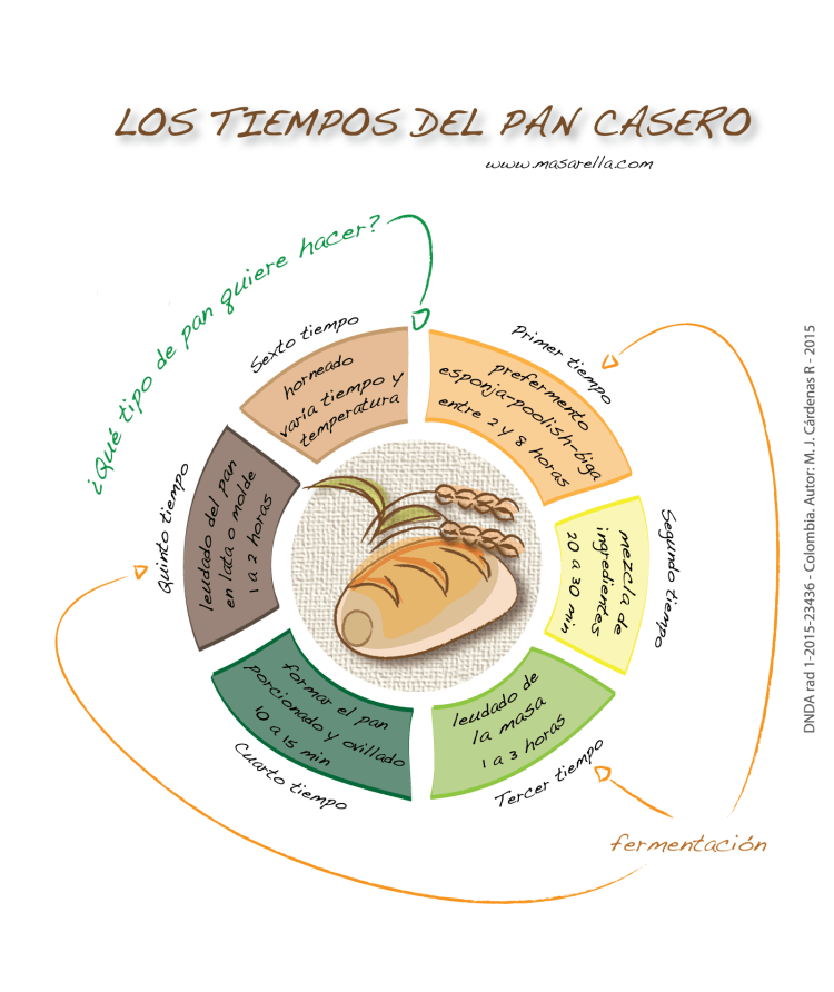 Infografía - Los tiempos del pan casero