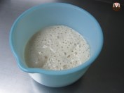 Listo el prefermento!